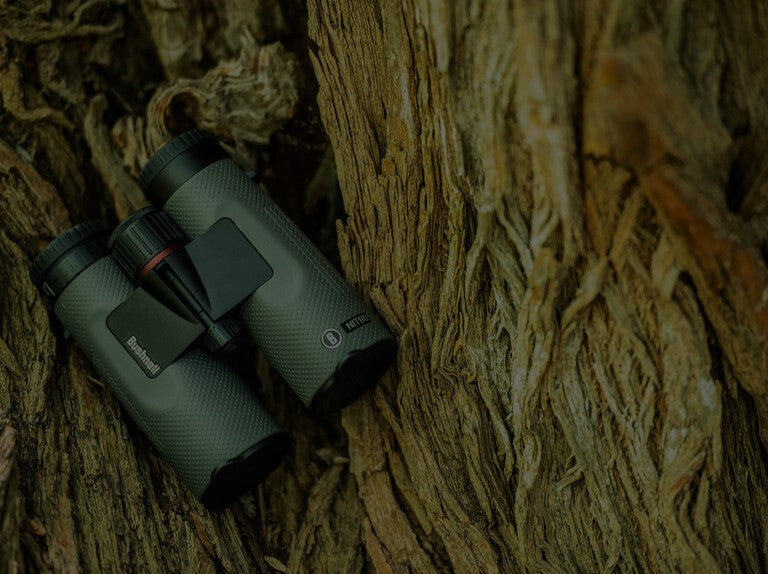 Retailer bushnell trophy 10x28 binoculars review