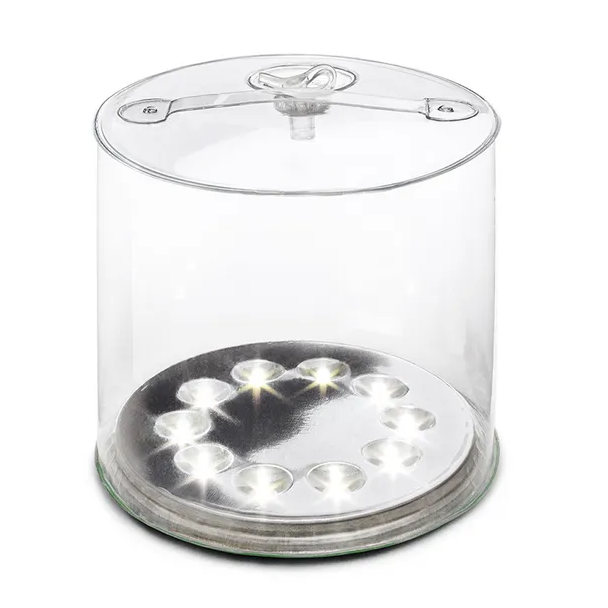 Luci Original Clear Rechargable & Solar Lantern