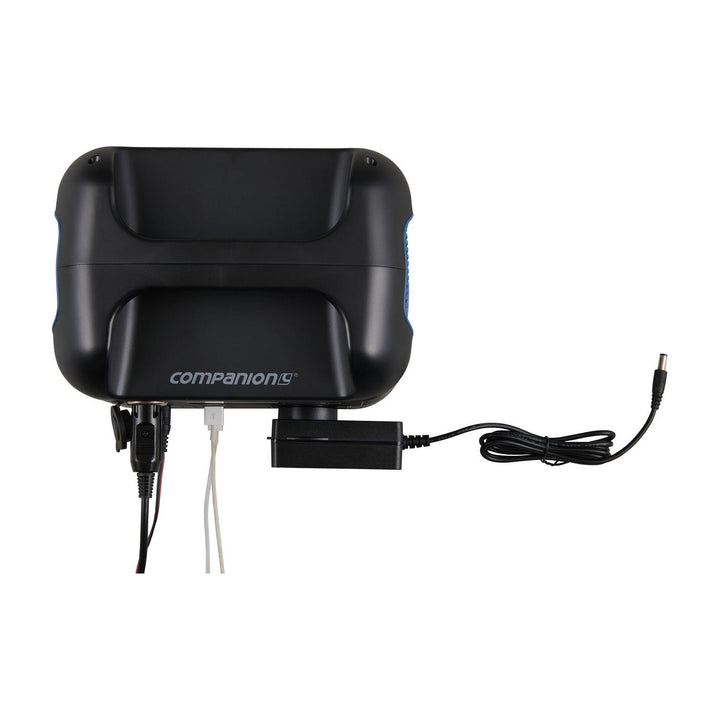 Companion Rover 300 Power Station