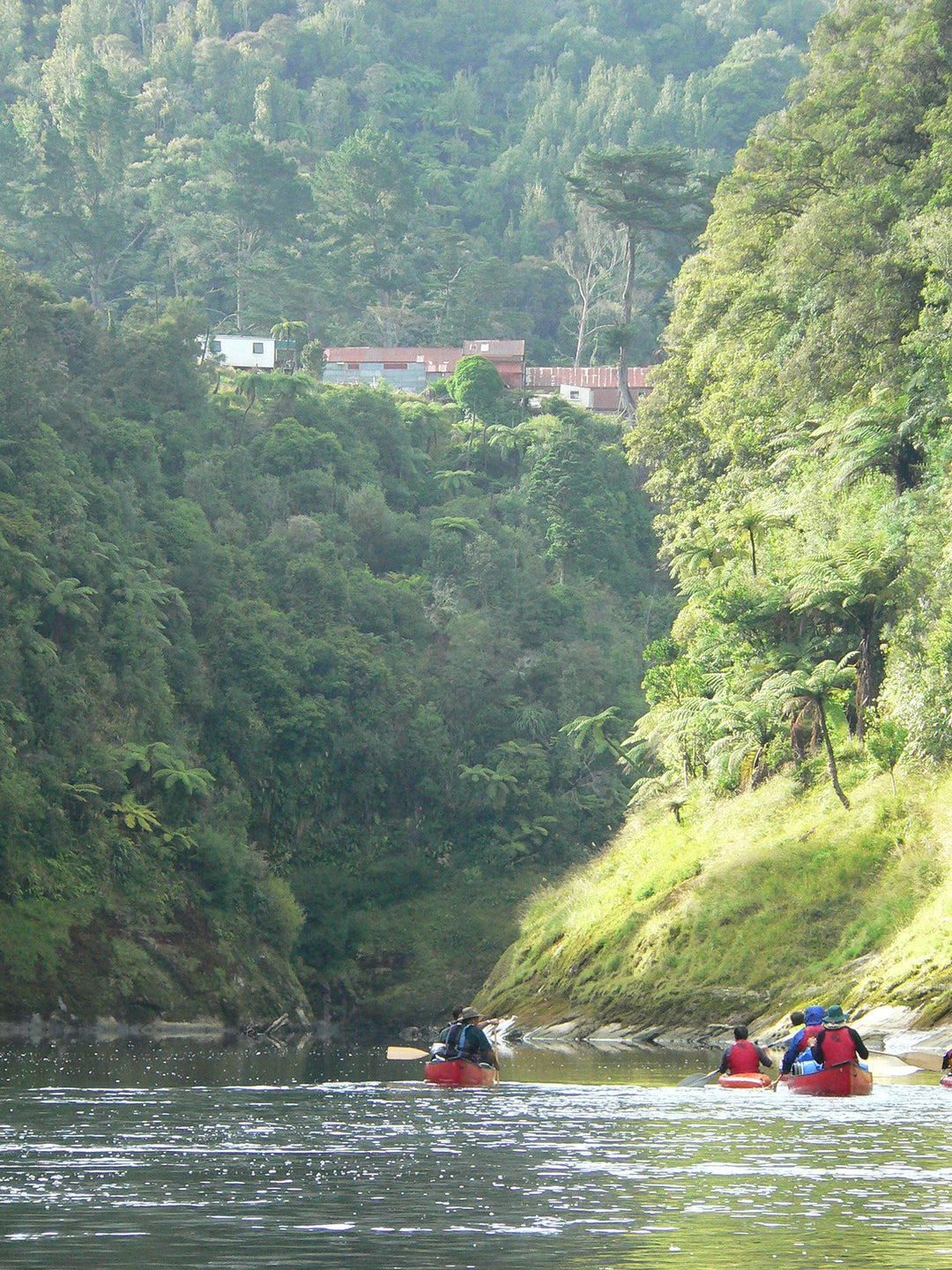 Canoe on the Whanganui River, Whanganui National Park, New Zealand