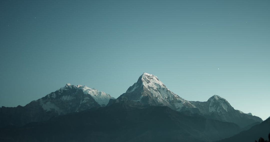 Best rain jackets for NZ tramping and hiking 2026