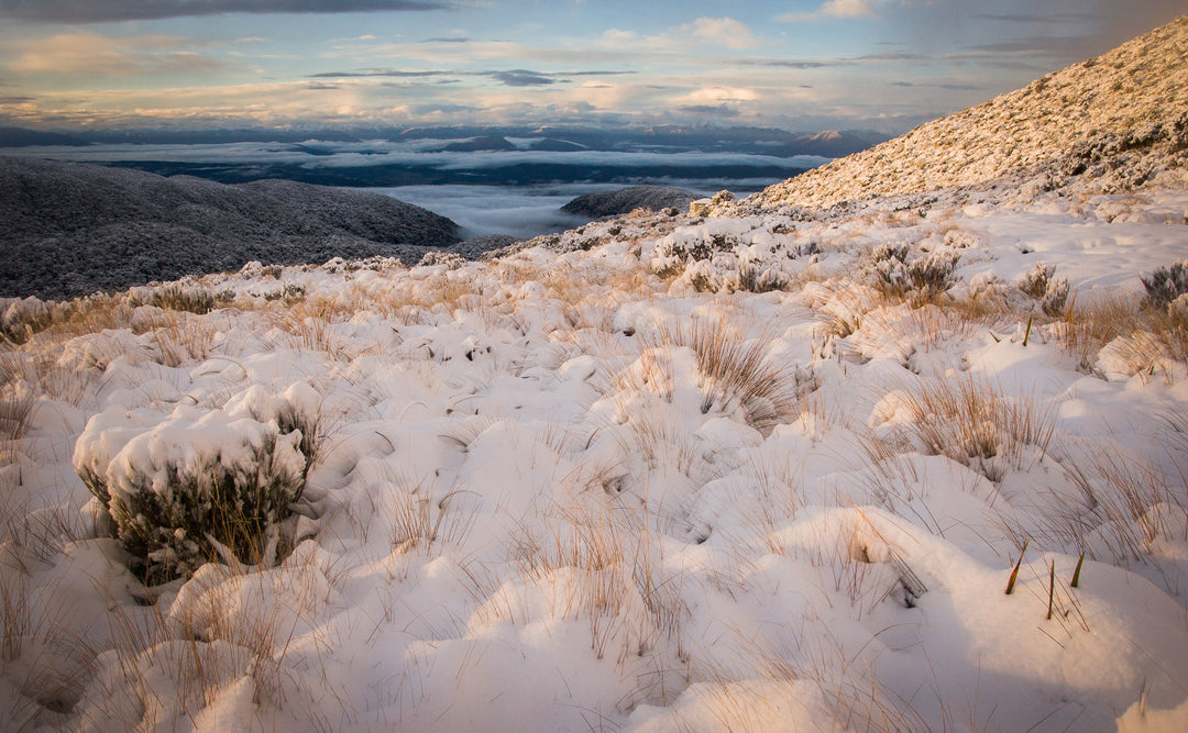Trampers on the Paparoa Track through Paparoa National Park, West Coast, New Zealand