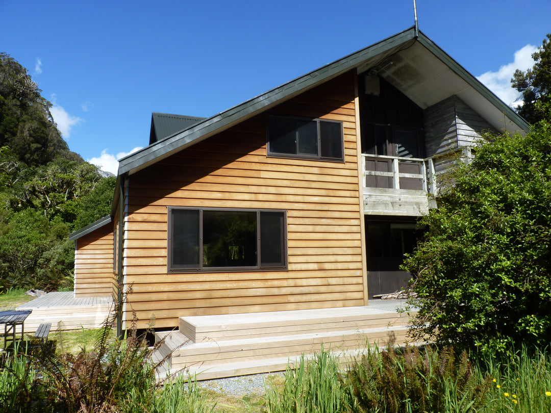 The Copland Track through ancient podocarp rainforest in Westland Tai Poutini National Park