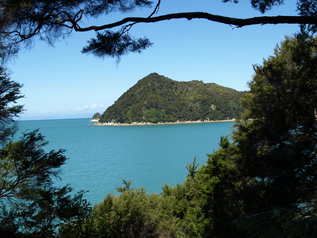 Hiking Boot Buying Guide NZ — How to Choose the Right Boots for NZ Trails