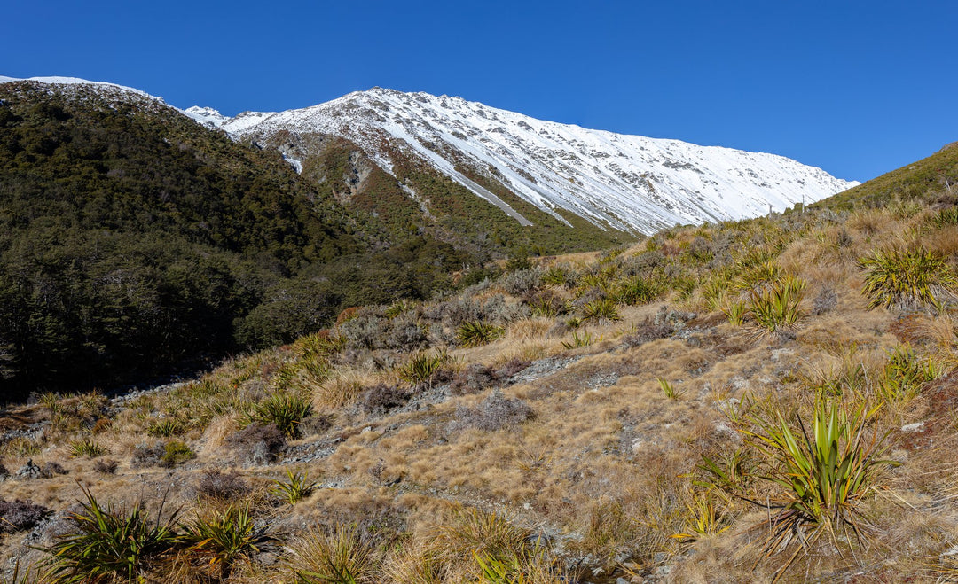Lake Angelus Route Gear List 2026 — What to Pack for Nelson Lakes' Best Overnight