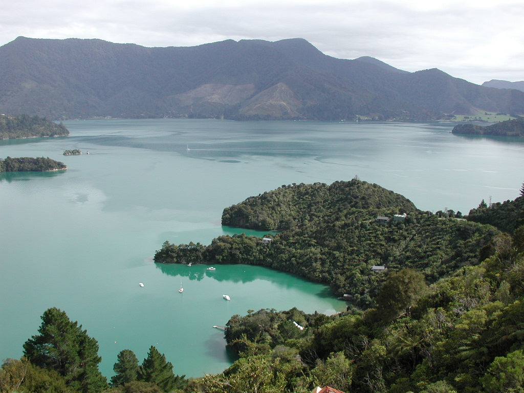 Queen Charlotte Track Gear List 2026 — What to Pack for the Marlborough Sounds