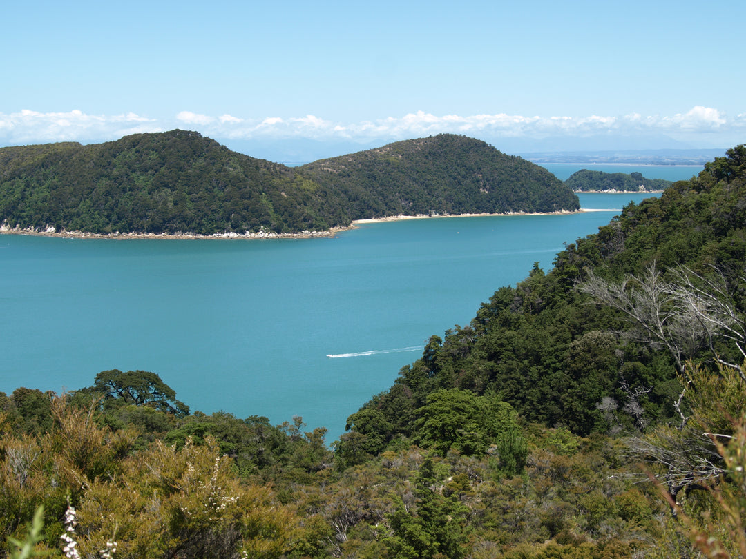 Rain Jacket Buying Guide NZ — Waterproofing Ratings, Seams and What to Look For