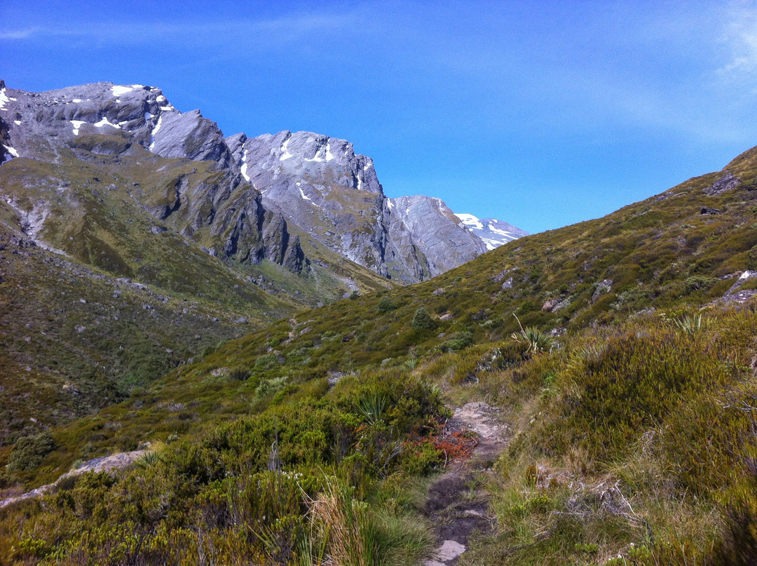 Rees-Dart Track Gear List 2026 — Packing for This Classic Mt Aspiring Circuit