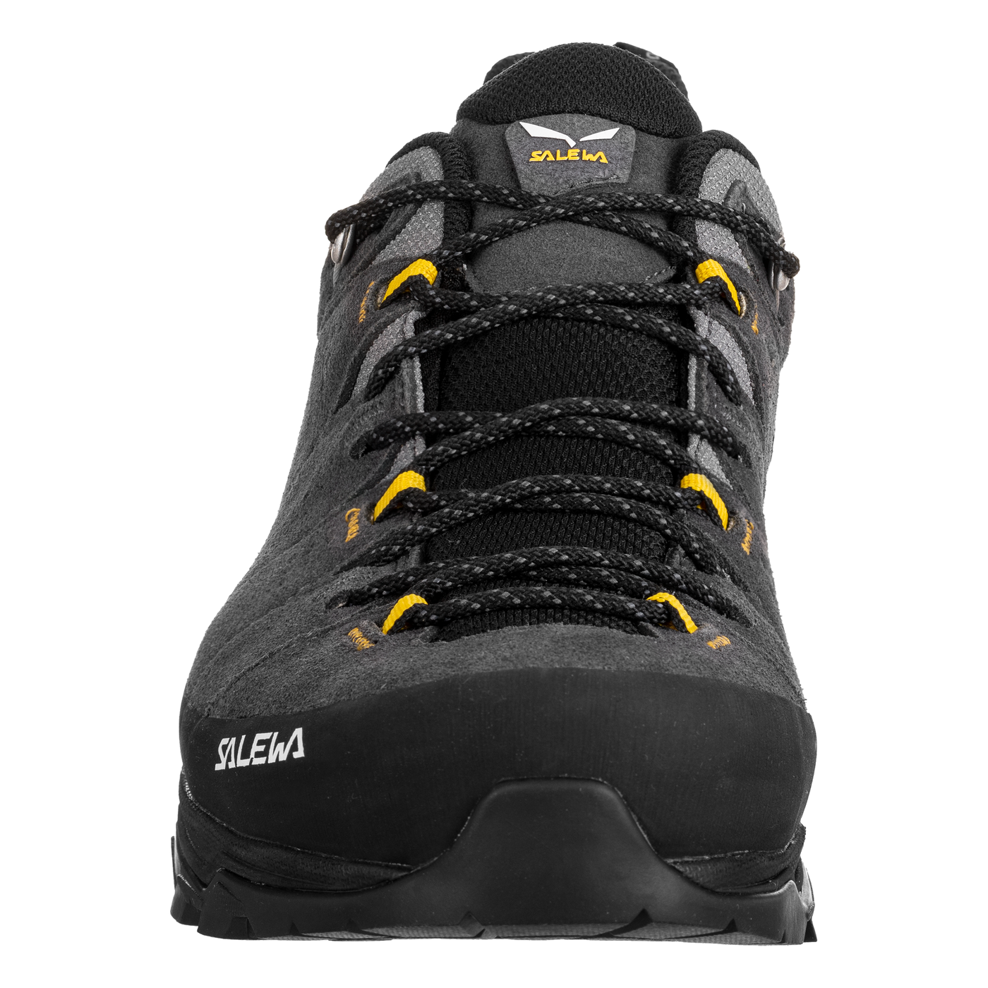 Salewa Mens Alp Trainer 2 Gore-Tex Shoe