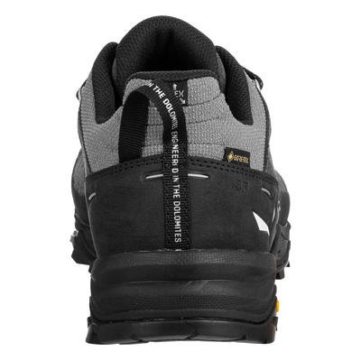 Salewa Mens Alp Trainer 2 Gore-Tex Shoe