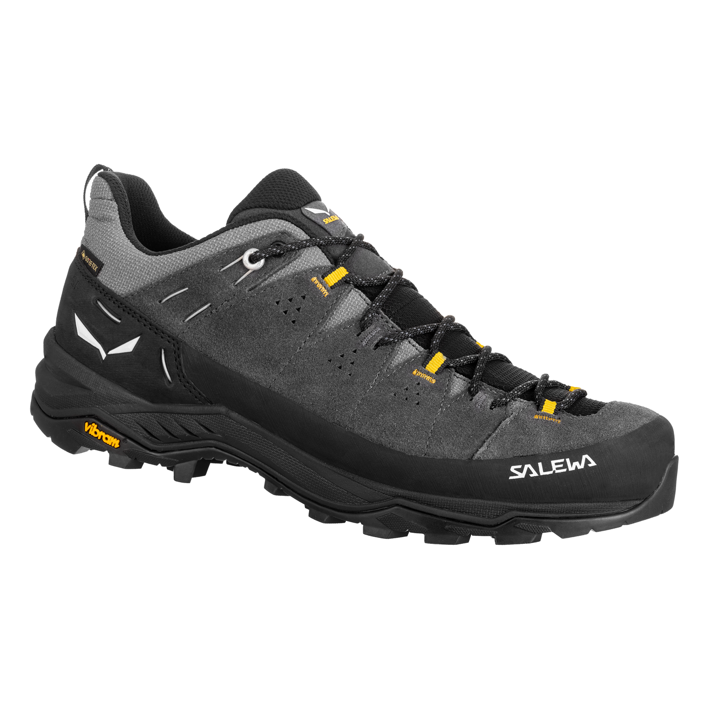 Salewa Mens Alp Trainer 2 Gore-Tex Shoe