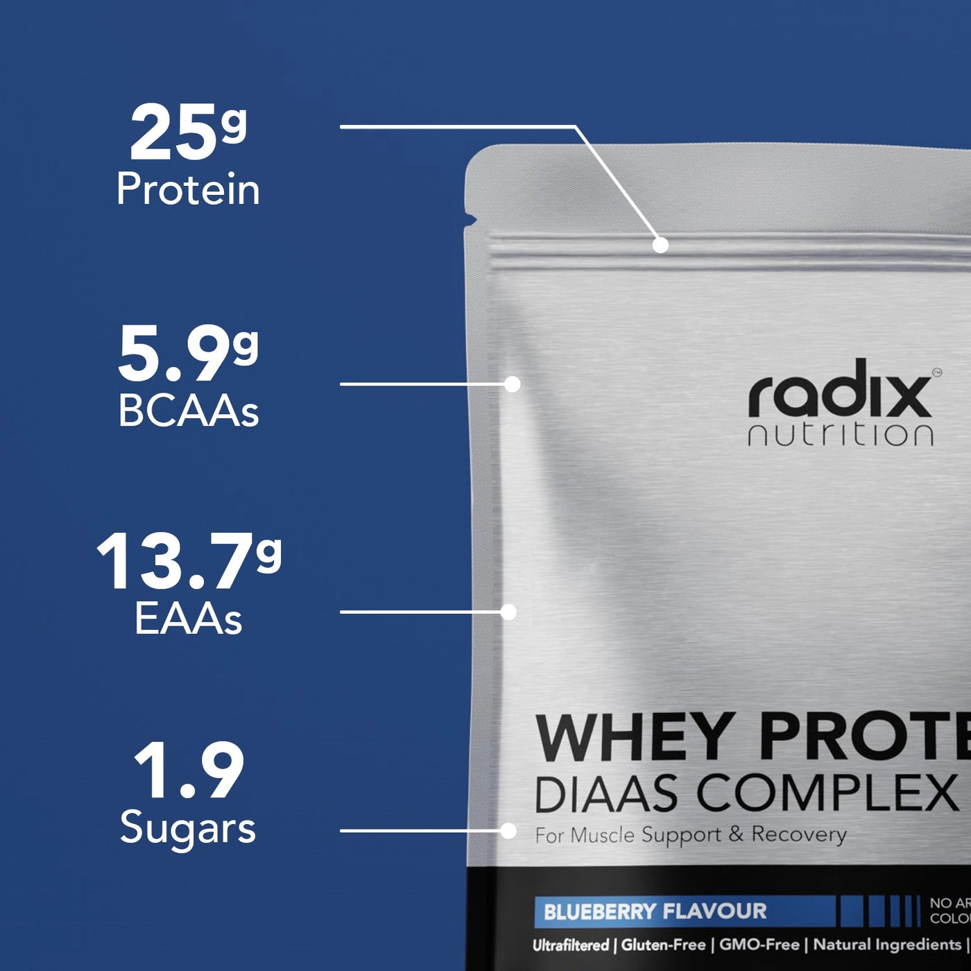 Radix Whey Protein DIAAS Complex 1.61 Bluberry