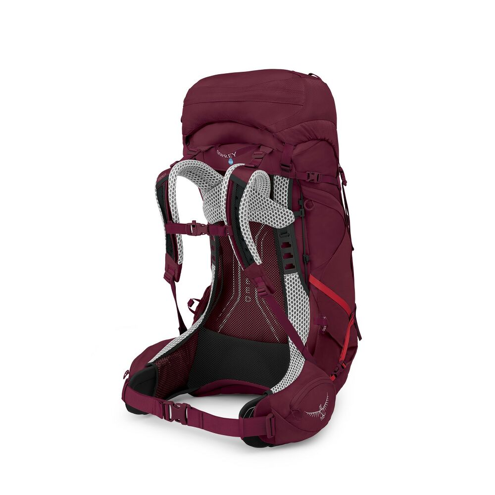 Osprey Aura AG LT 50 women's pack in Antidote Purple - rear three-quarter view