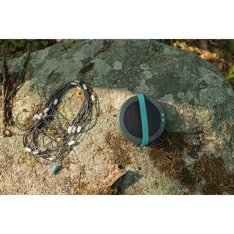 Luci Solar String Lights Warm White — detail | BioLite NZ