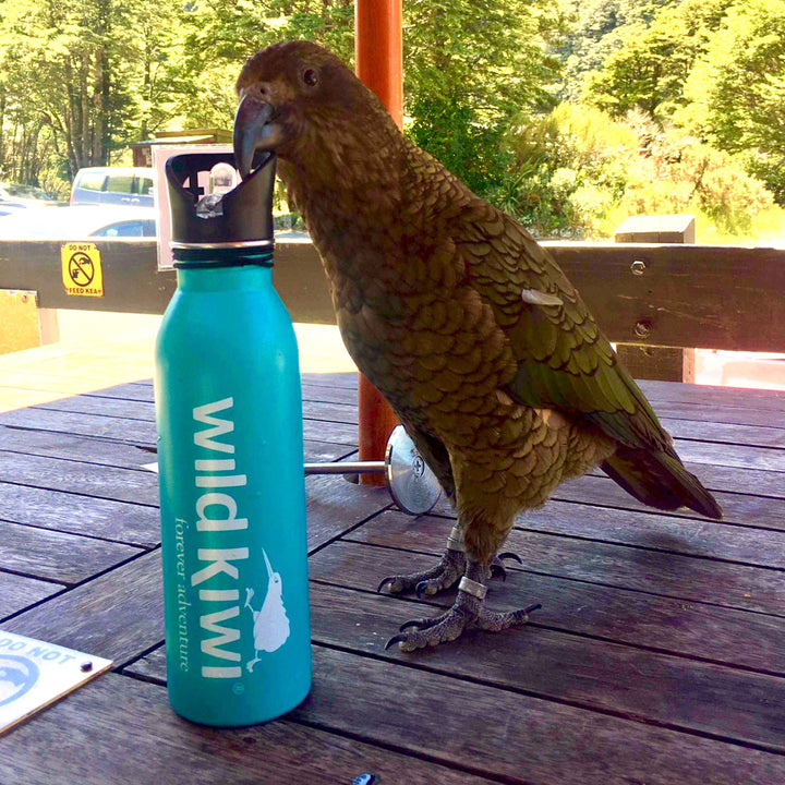 Aqua Drink Bottle 600ml - Wild Kiwi