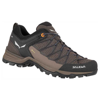 Salewa Mens Mountain Trainer Lite Gore-Tex Shoes